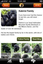 Perfis de família de gorila