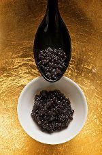 Beluga Sturgeon Caviar