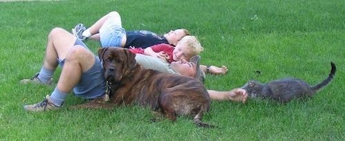 Waylonas Mastweileris, klojantis žolę su vyru, dviem vaikais ir kate