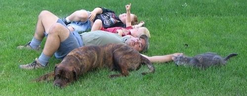Waylonas Mastweileris, miegantis žolėje su vyru, dviem vaikais ir kate