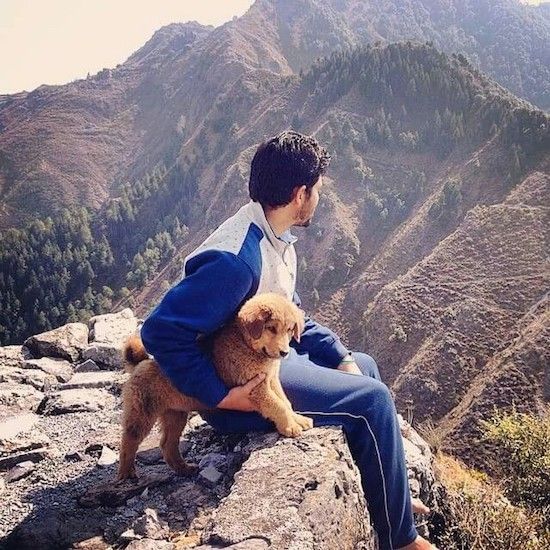 Seorang lelaki dengan rambut hitam gelap yang duduk di luar di tebing dengan anak anjing kecil di bawah lengannya melihat pemandangan gunung dan lembah.