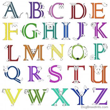 कुत्तों के रूप में तैयार किए गए अक्षरों की वर्णमाला