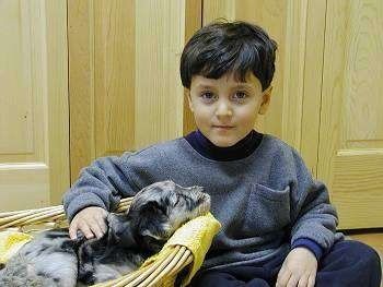 Uma criança sentada ao lado e acariciando um filhote de cachorro Bergamasco em uma cesta