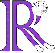 Joonistatud pilt koerast, mis on ühtlasi R-täht