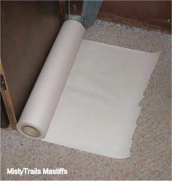 Lazımlık alanı, kolay temizlik için katlanabilen uzun kağıtlarla kaplanmıştır.