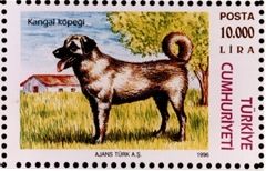 „Kangal Dog“ ant rožinio turkų pašto ženklo. Šuo stovi žolėje, o už jo yra baltas namas su raudonu stogu.