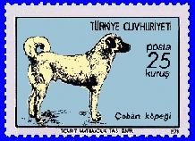 Anjing Kangal dengan cap pos Turki. Pandangan sisi anjing dengan latar belakang biru.