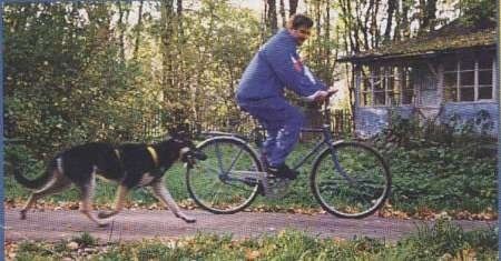 Gektor Yaromir पूर्व-यूरोपीय शेफर्ड साइकिल पर एक व्यक्ति के पीछे चल रहा है। वे एक छोटे से नीले घर से गुजर रहे हैं।
