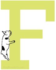 Nubrėžtas prancūzų buldogo šuo yra kairėje F raidės pusėje, nuskaitydamas šoną.