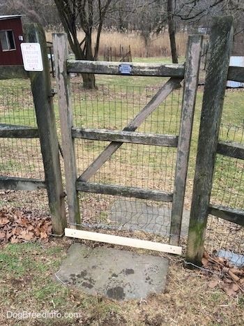 Một cổng sắt tách đôi bằng gỗ với một dây kim loại trở lại hàng rào.