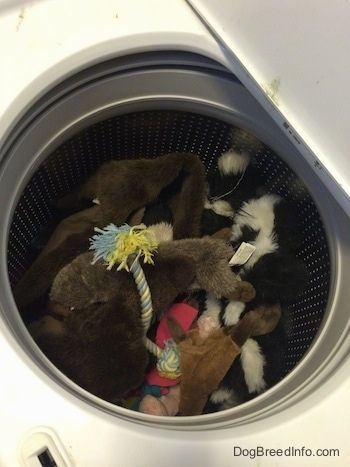 En hög med hundleksaker finns i en tvättmaskin.