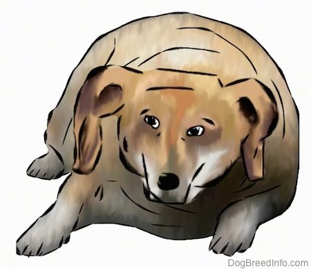 En ritad bild av en mycket fet hawaiisk pojhund som lägger sig