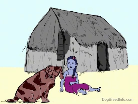 En ritad bild av en hawaiiansk Poi-hund som sitter bredvid en flicka och ett hus