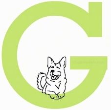 Seekor anjing tergeletak di dasar huruf G