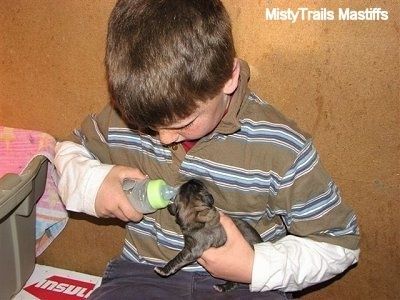 Ένα αγόρι που ταΐζει ένα κουτάβι με ένα μπουκάλι