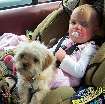 Otrok leži na avtomobilskem sedežu v ​​zadnjem delu vozila, na njenih nogah pa se rjavo obarva bela psička Poochin. Dojenček srka roza dudo.