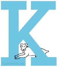 Seekor anjing yang tergambar sedang berbaring di dasar huruf besar K