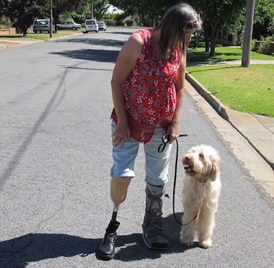 Бели аустралијски кобердог помаже ампуитеу с сломљеним стопалом. Стоје на улици и гледају се.
