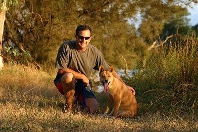 Dingo Lindy, kellel on suu lahti ja pikk keel riputatud, istub põllul päikeseprille kandva mehe kõrval
