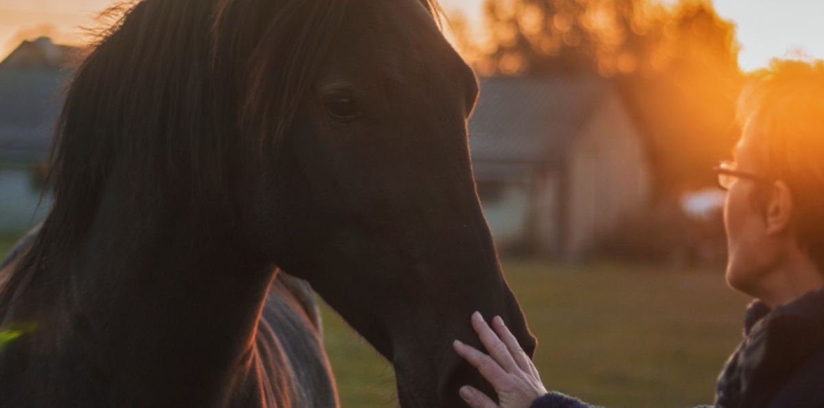 Žena koja miluje konja